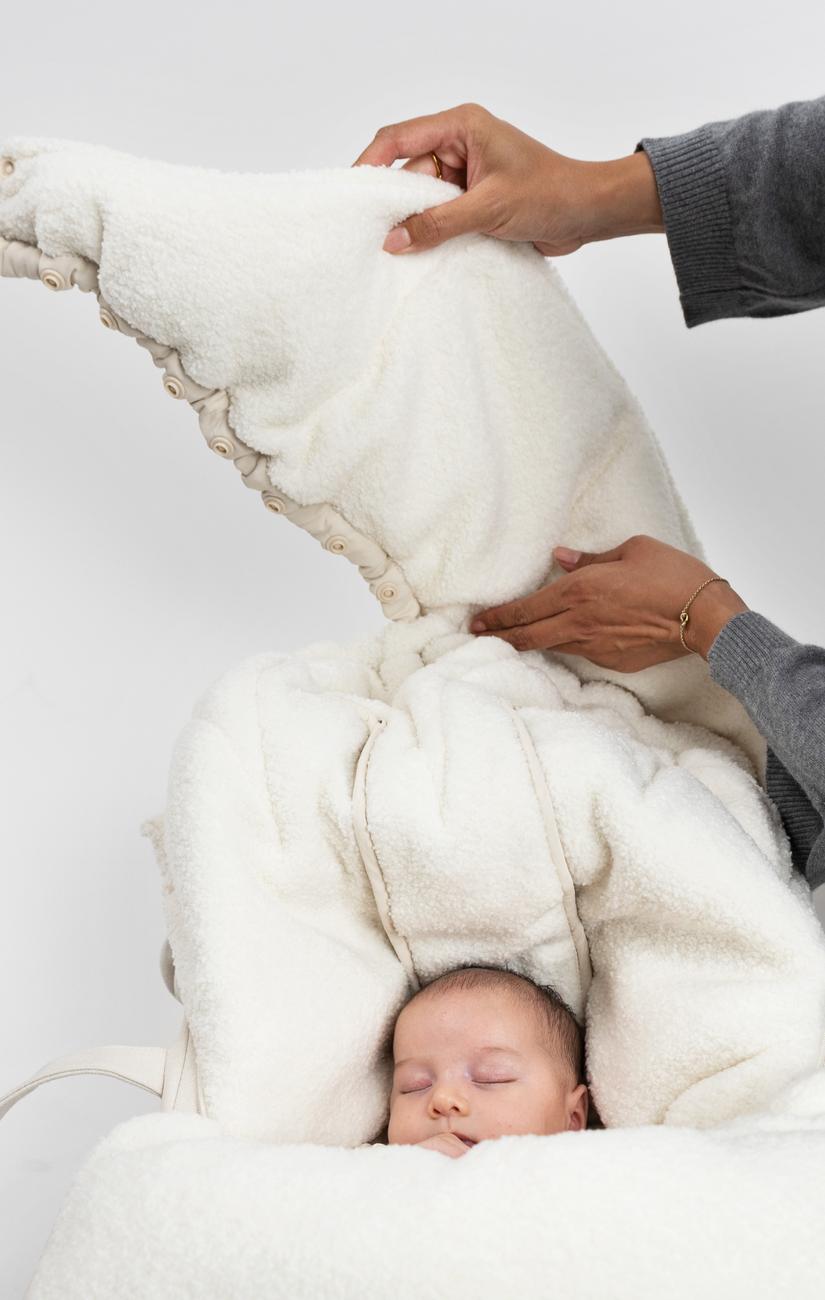 SleepCarrier & Down Footmuff