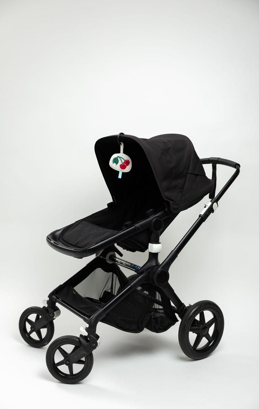 Stroller Toy
