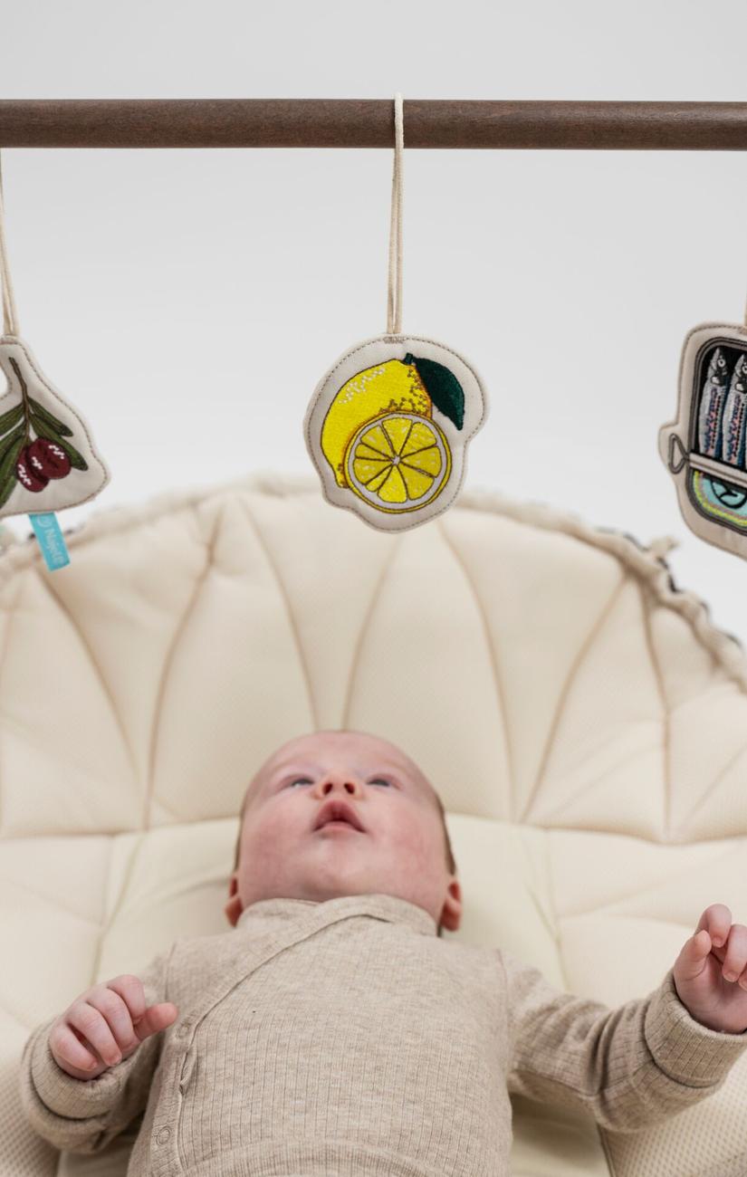Soft Toys for Baby Gym