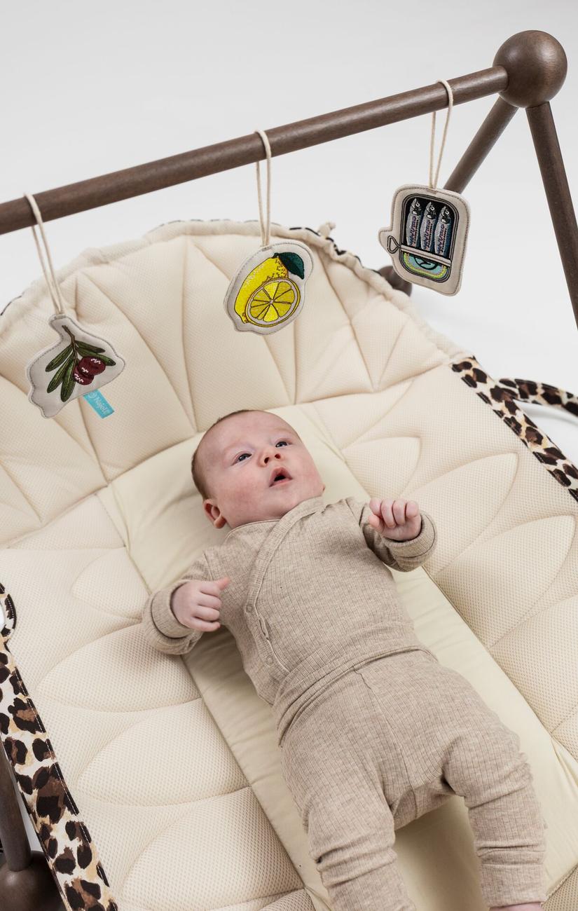 Soft Toys for Baby Gym